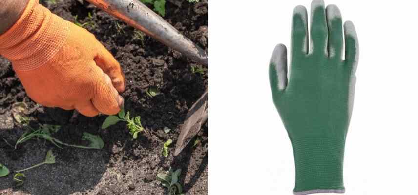 Février, le mois du jardinage - Du 17 au 21 février, gagnez des gants  Rostaing ! - France Bleu