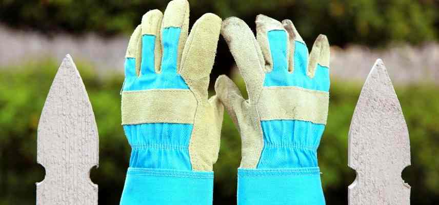 Gants de jardinage anti-épines pour hommes femmes, gants de travail en cuir  jaune, gants de jardinage complets