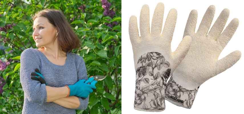 Femme Jardinier En Gants Avec Scie De Jardin Coupant Une Branche Sèche Sur  Un Pommier Avec