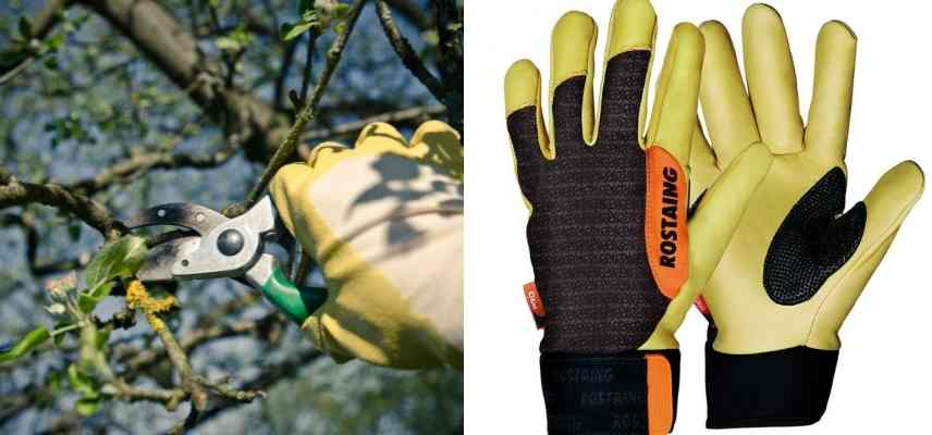 Comment choisir ses gants de jardinage ? - Promesse de Fleurs