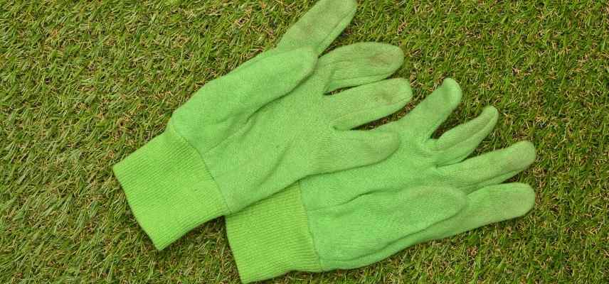 Gants de jardinage femme - S, M - Vert, noir