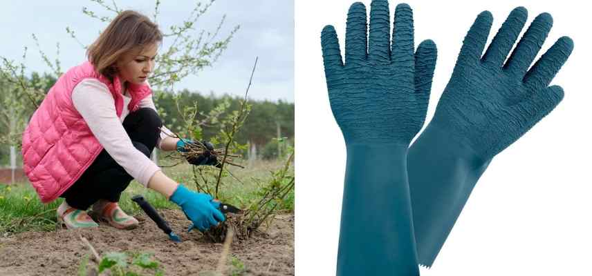 Gants De Protection Taille Et Plantation En Milieu Petits Épineux