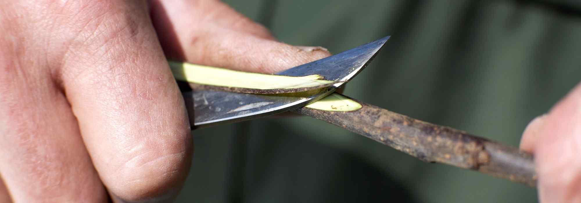 A quoi sert un greffoir ou couteau à greffer ? - Promesse de Fleurs