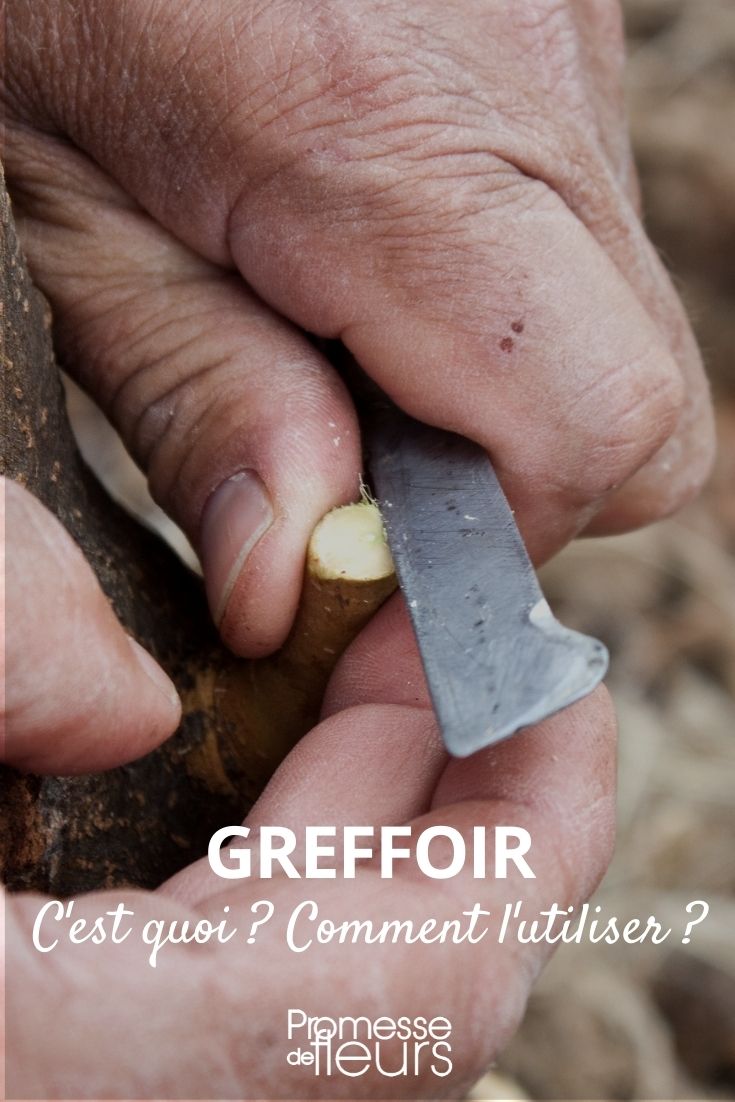 TEMPSA Ciseaux Pince à Greffer Greffoir Outil pour Arbres