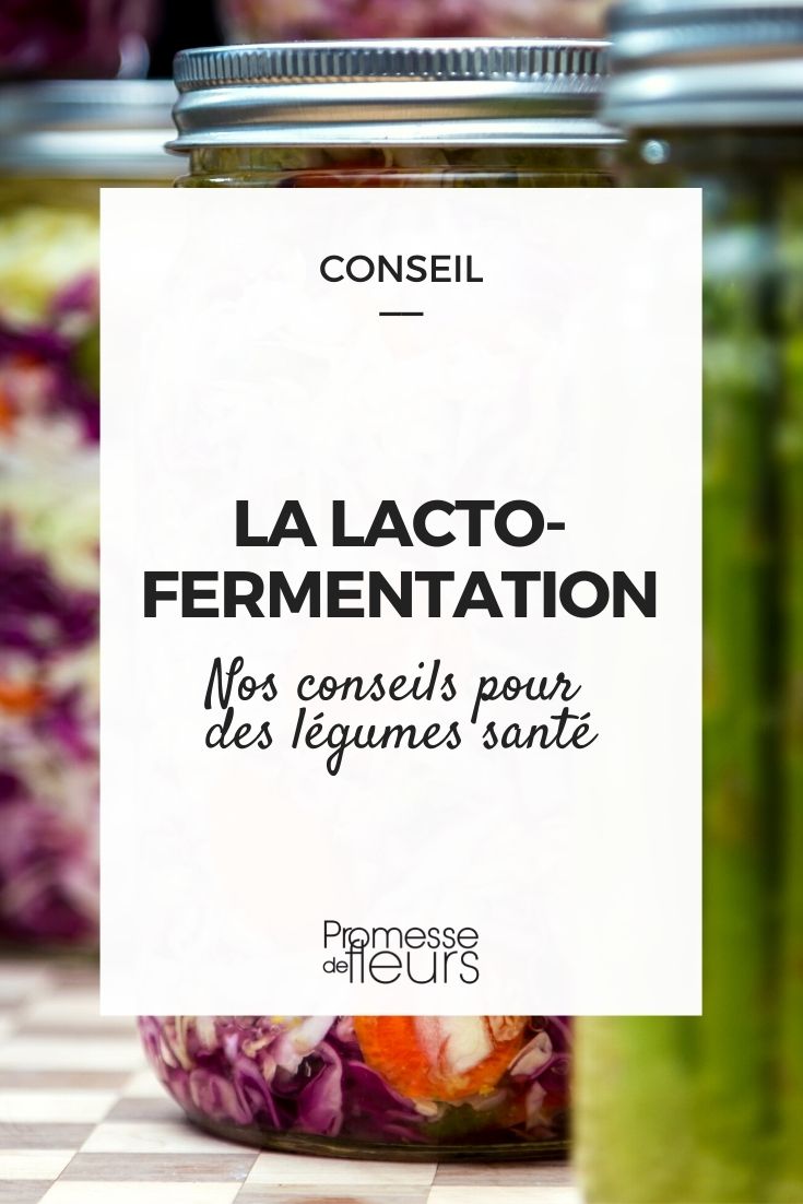 la lacto fermentation des légumes du jardin