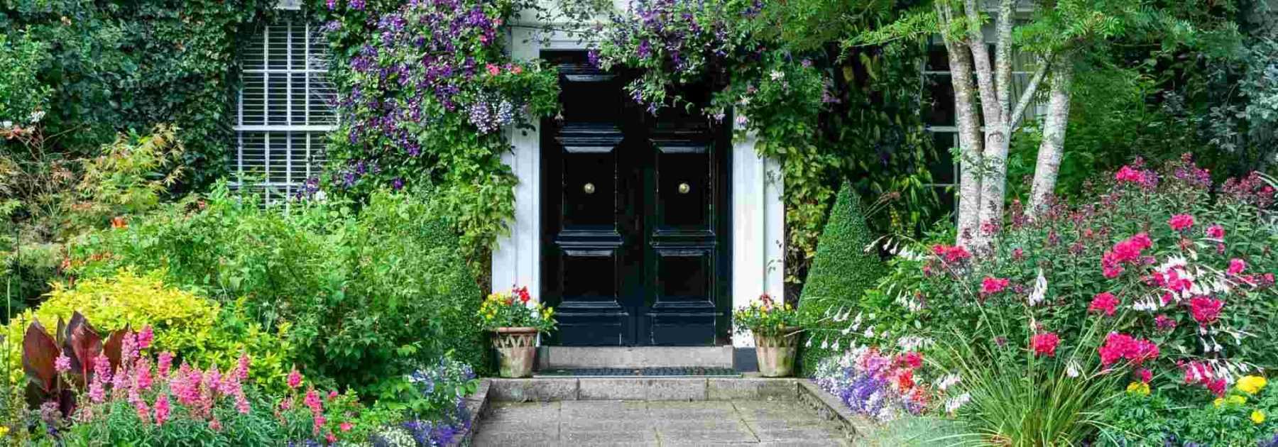 5 Conseils pour rentrer les plantes d'extérieur dans la maison