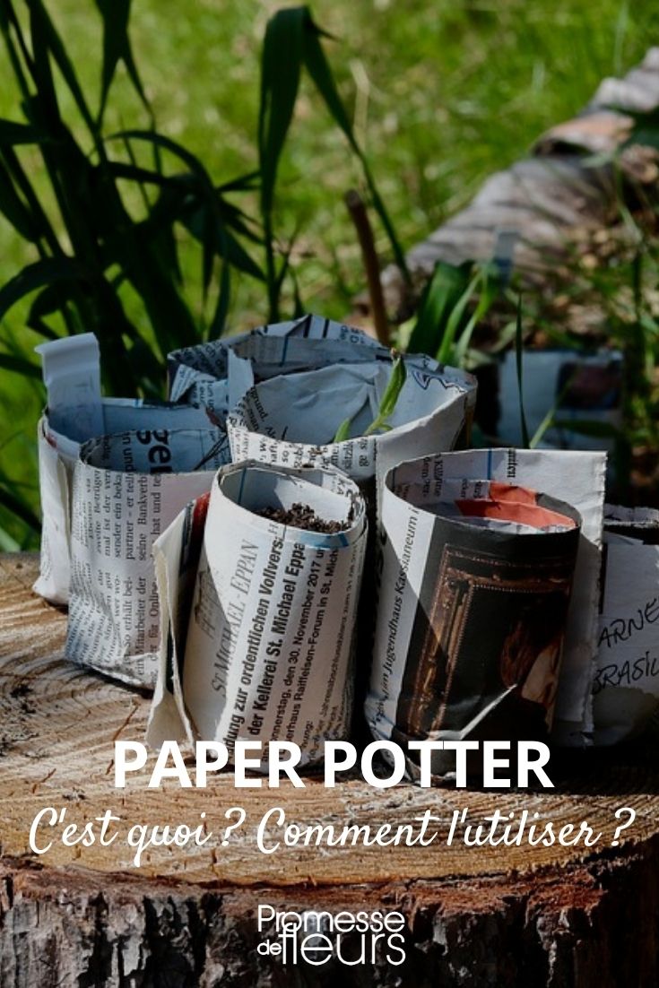 paper potter