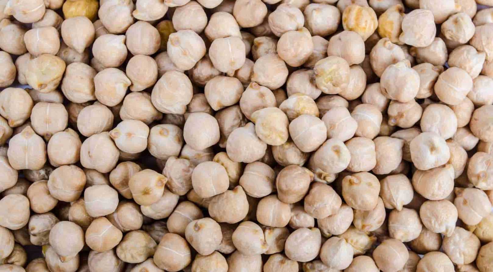 Et si vous cultiviez des pois chiches ?