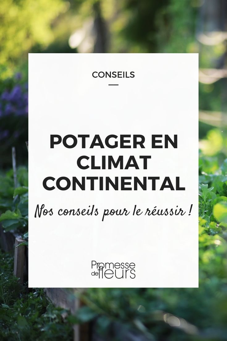 potager climat continental