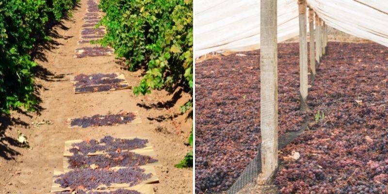 raisin séché au soleil