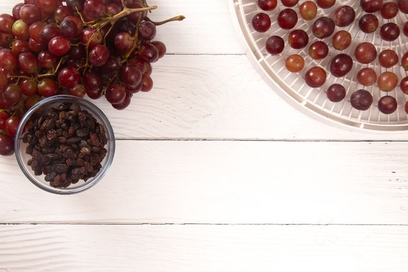 Comment faire des raisins secs ? - Promesse de Fleurs