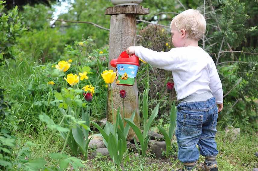 Un enfant arrose ses fleurs