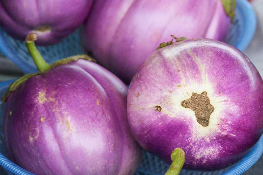 Aubergine ‘Rotonda Bianca Sfumata Di Rosa’