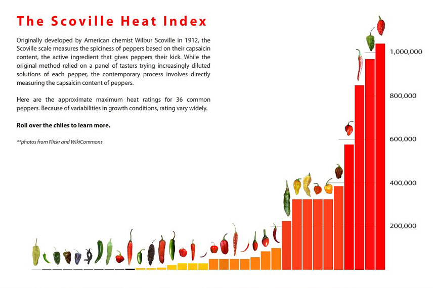 Echelle de Scoville