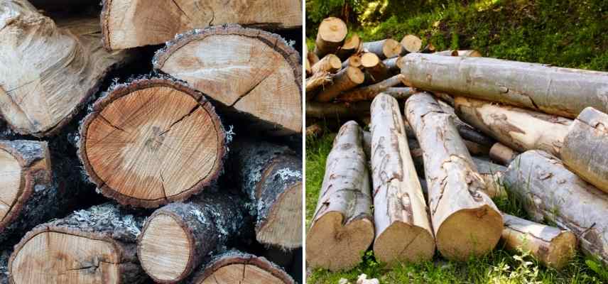 bois de chauffage, bois cheminée, quel bois choisir pour se chauffer, bois de chauffage lequel choisir