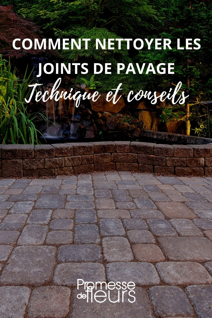 Anti mousse pour terrasse pavés