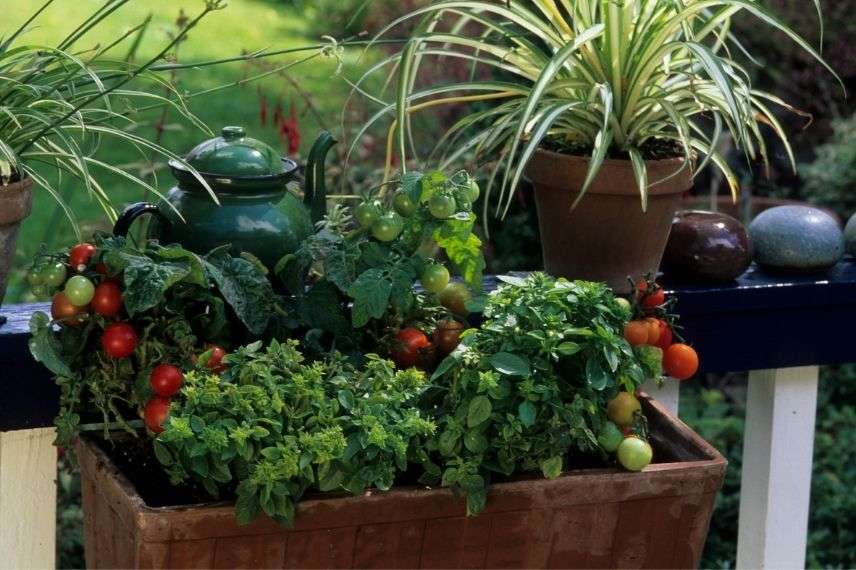 carré potager sur petit balcon, bac à plantes sur pied pour balcon