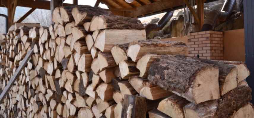 bois de chauffage, bois cheminée, quel bois choisir pour se chauffer, bois de chauffage lequel choisir
