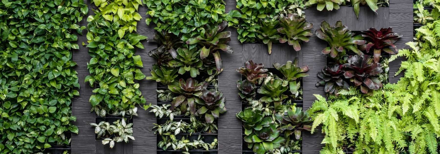 Inspiration : 12 idées pour créer facilement un mur végétal