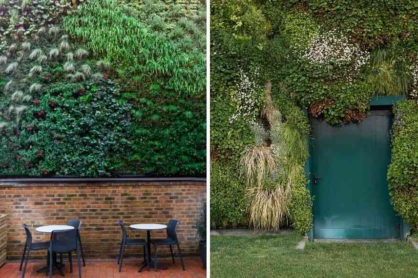 mur vegetal