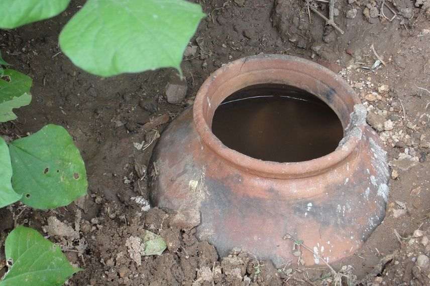 Ollas à enterrer 2,5 L - poterie d'arrosage pour plantes, arbustes