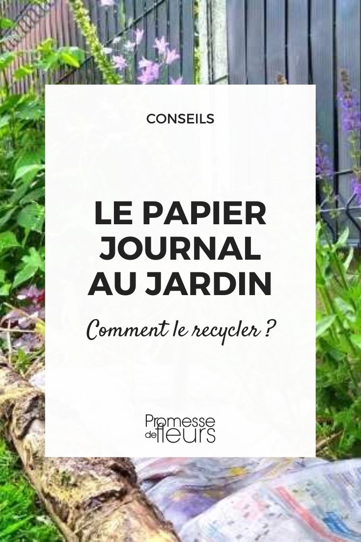 Le papier journal au jardin, comment l'utiliser ? - Promesse de Fleurs