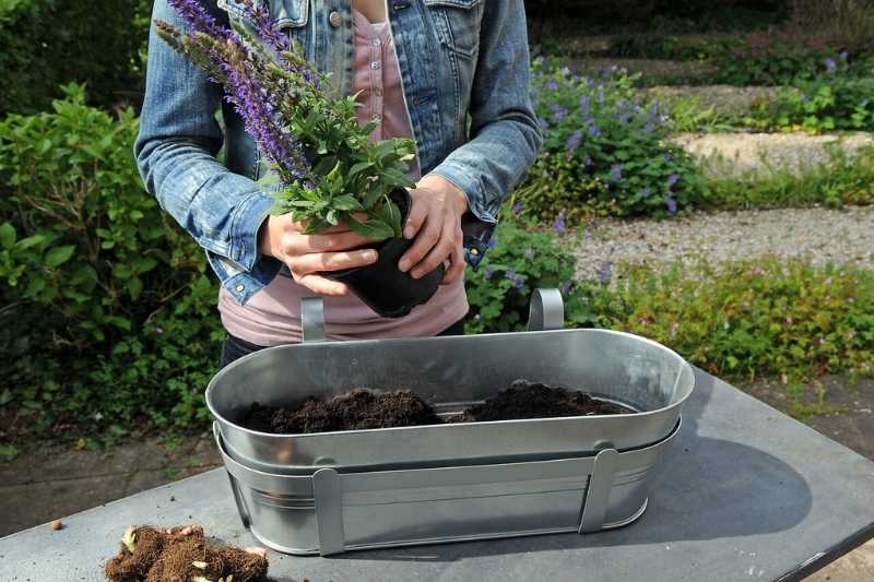 composer une jardinière de printemps, jardinières