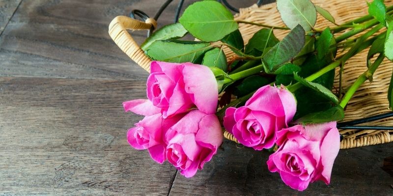 Cintre de bouquet de fleurs séchées de 24 po, cintre de conservation des  aliments, support suspendu en bois de peuplier, cintre de bouquet de  mariage, cintre aromatique, séchoir à herbes -  France