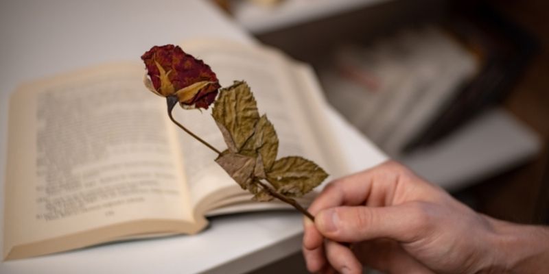 roses séchées, sécher des roses, roses pressées dans un livre