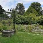 Visite du Jardin alpin au Jardin des Plantes en été à Paris