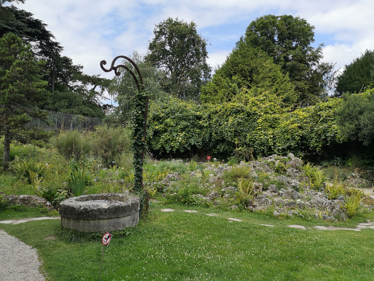 Visite du Jardin alpin au Jardin des Plantes en été à Paris