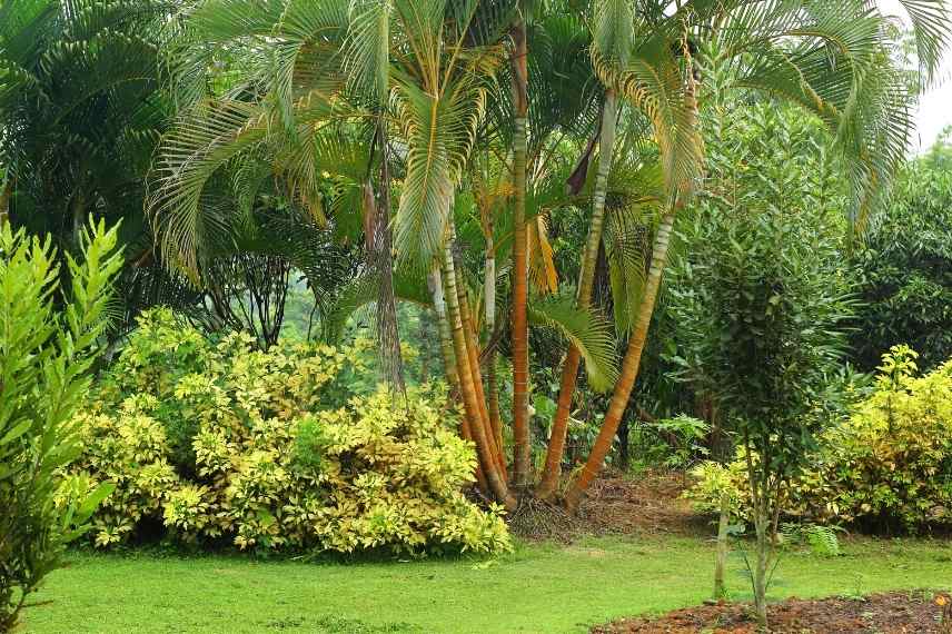 Relief au jardin, Aménager un jardin plat, aménagement jardin plat