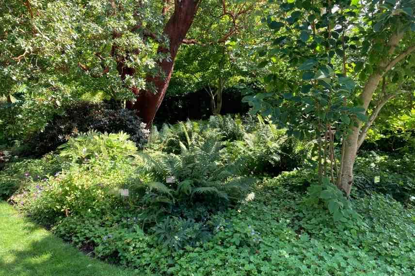 Relief au jardin, Aménager un jardin plat, aménagement jardin plat