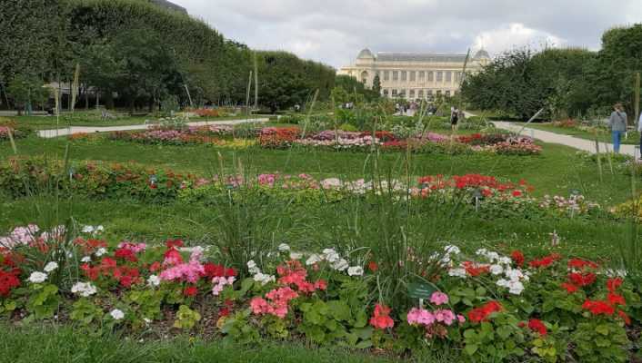 Visite des Carrés de la Perspective du Jardin des Plantes à Paris