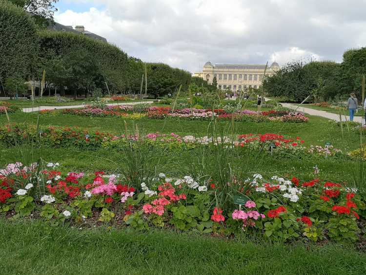 Visite des Carrés de la Perspective du Jardin des Plantes à Paris
