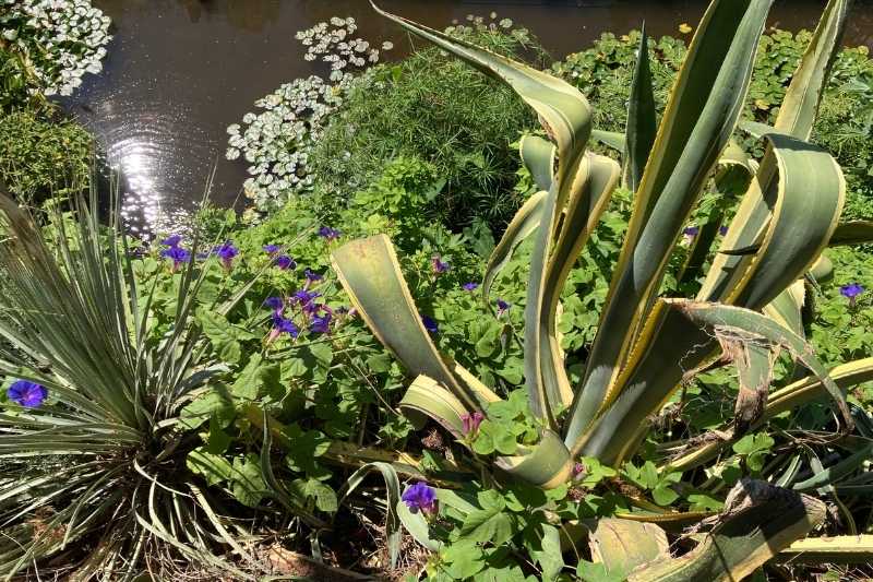 Les 10 commandements du jardinier au potager - Louvre-Lens