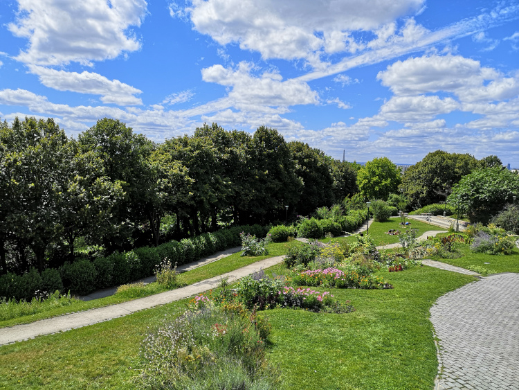 Visite du parc de Belleville en été