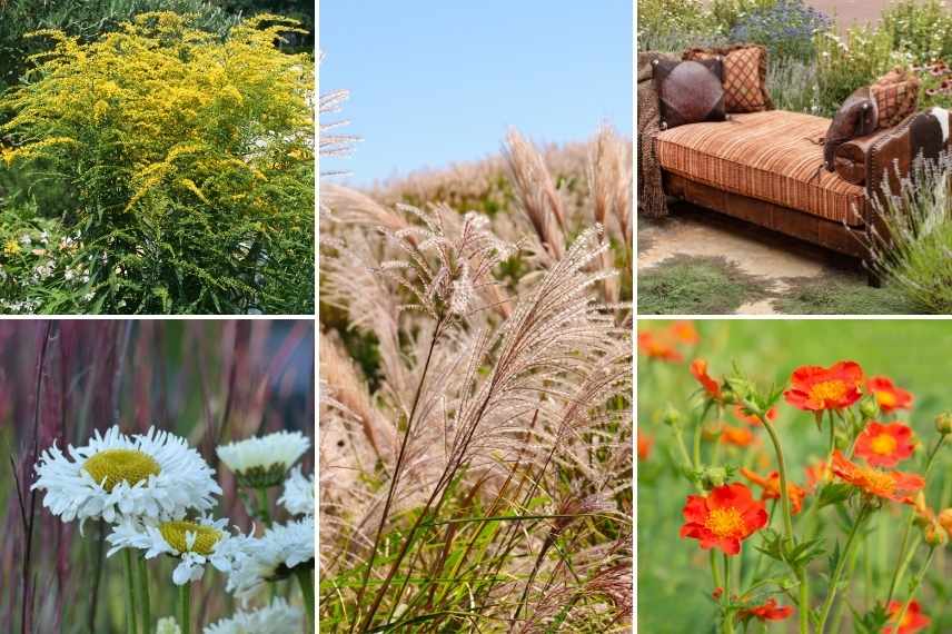 aménager un jardin bohème, création jardin bohème, indispensable jardin boheme, comment faire un jardin boheme