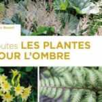 Toutes les plantes pour l'ombre de Cédric Basset - Editions Ulmer