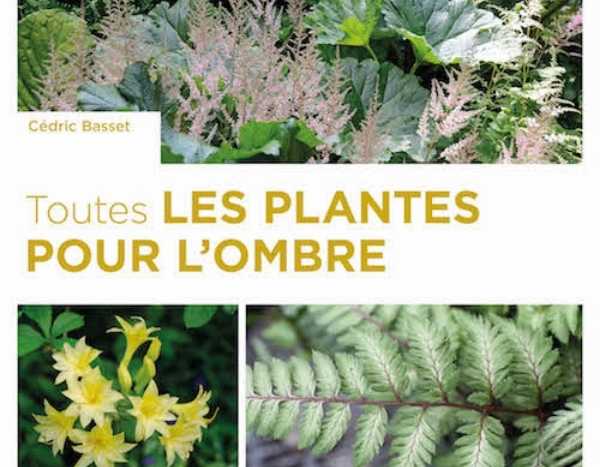 Toutes les plantes pour l'ombre de Cédric Basset - Editions Ulmer