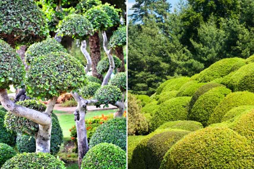 Relief au jardin, Aménager un jardin plat, aménagement jardin plat