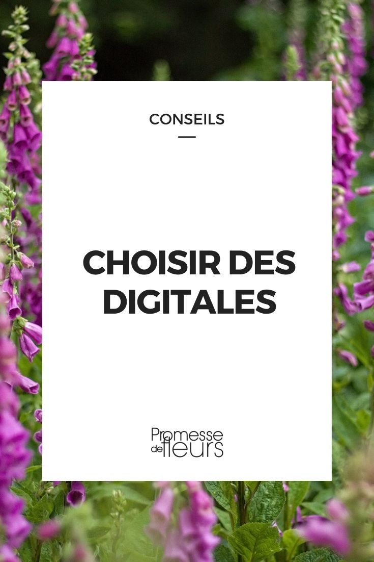 choisir des digitales