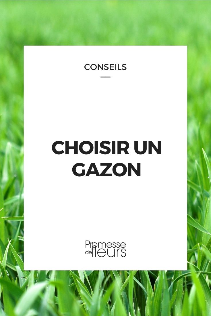 choisir un gazon