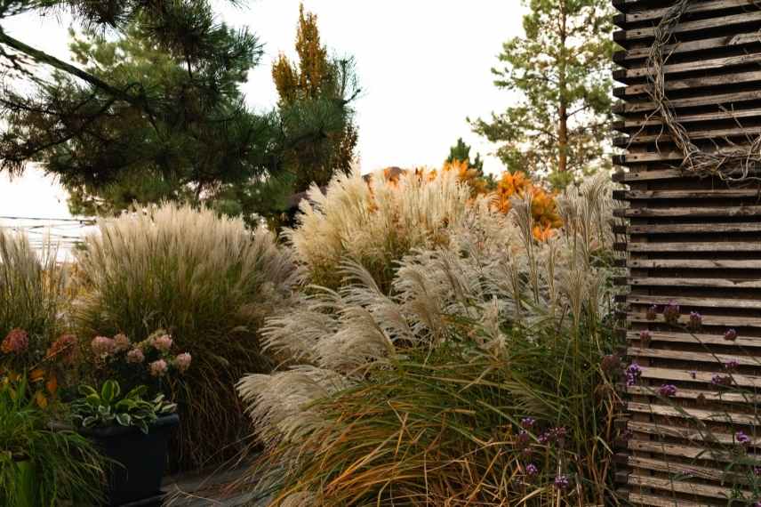 Relief au jardin, Aménager un jardin plat, aménagement jardin plat