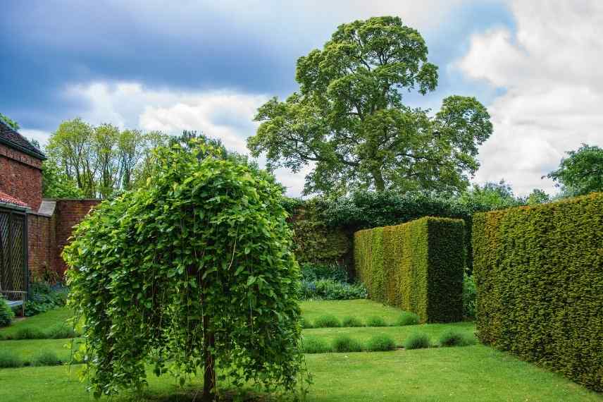 Relief au jardin, Aménager un jardin plat, aménagement jardin plat