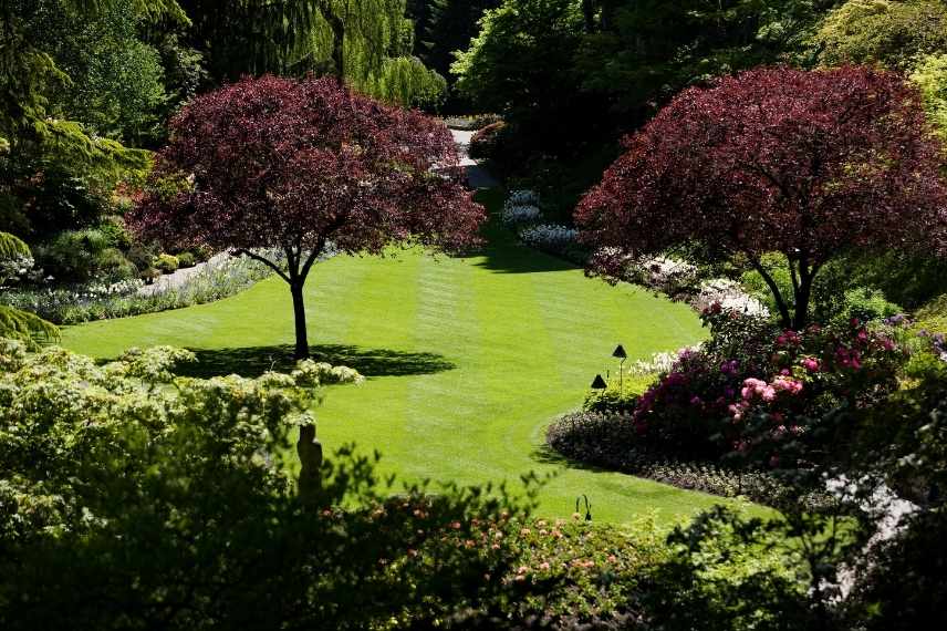 Relief au jardin, Aménager un jardin plat, aménagement jardin plat