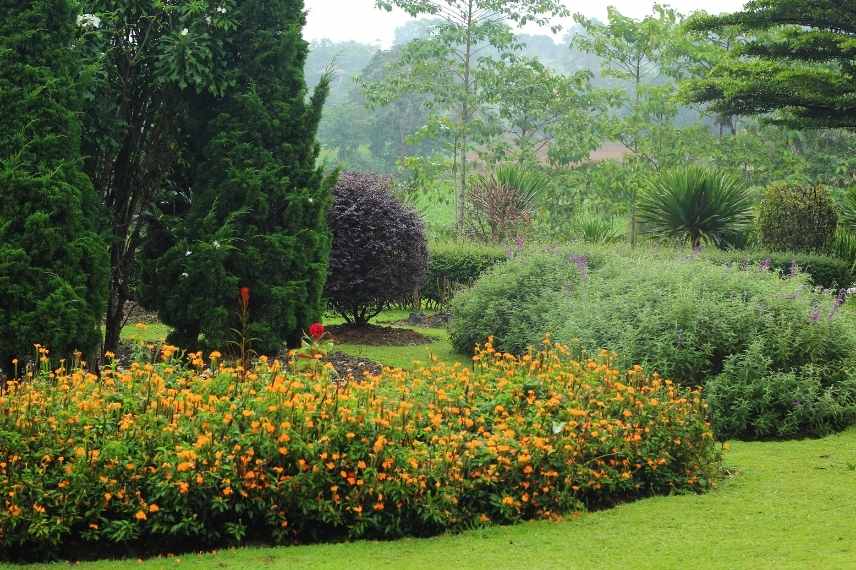 Relief au jardin, Aménager un jardin plat, aménagement jardin plat