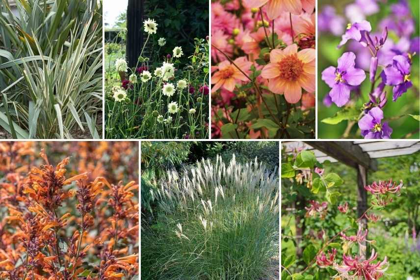 aménager un jardin bohème, création jardin bohème, indispensable jardin boheme, comment faire un jardin boheme