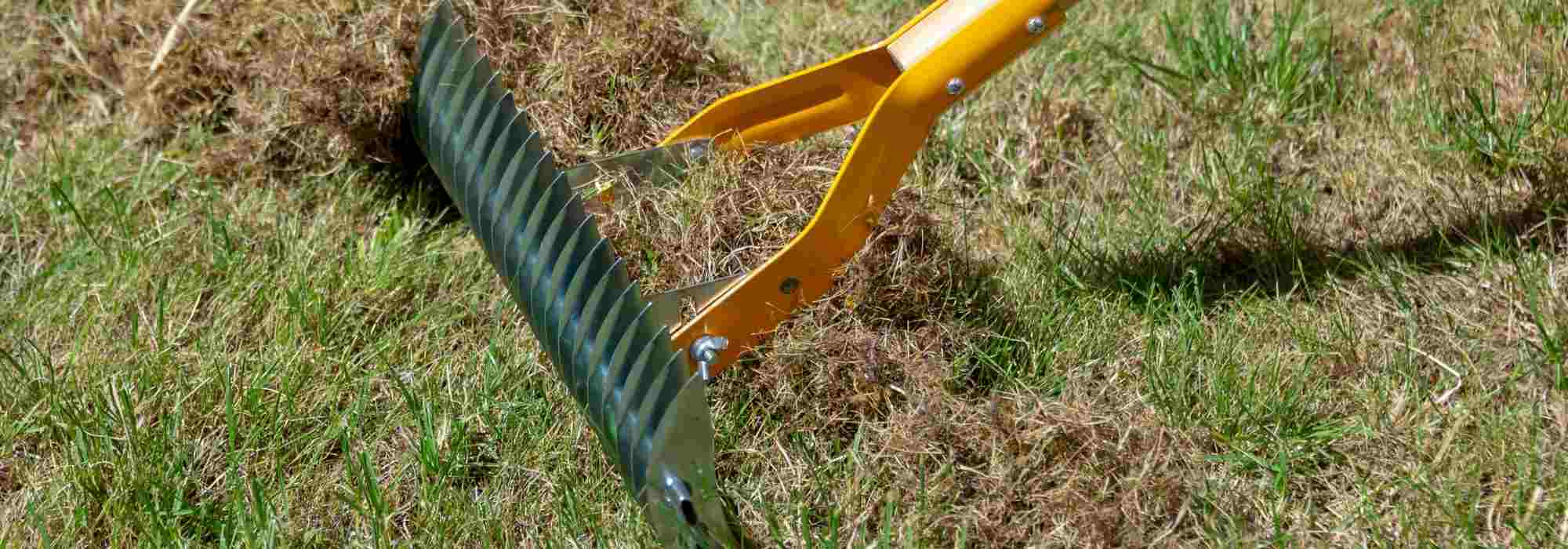 Guide: Utiliser un scarificateur de pelouse