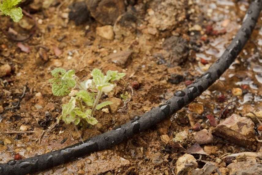 Comment arroser avec un tuyau microporeux ?